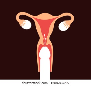 Photo of triple sex a sexy girl